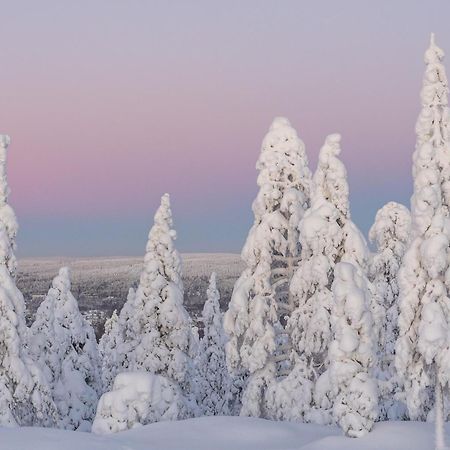 Northern Bliss Hideaway Rovaniemi Buitenkant foto
